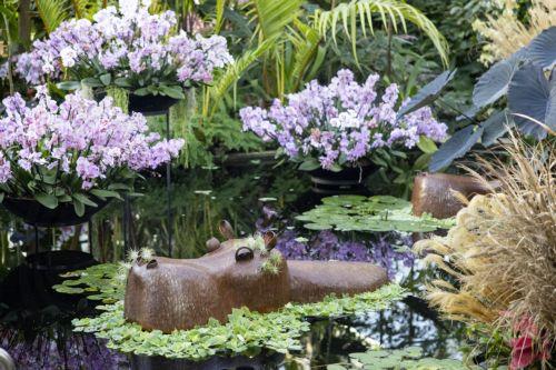 epa10444070 Hand-crafted floral display during a photocall for Kew Gardensâ€™ annual Orchid Festival at the Princess of Wales Conservatory in London, Britain, 02 February 2023. The festival displays Cameroonâ€™s biodiversity and features thousands of colourful orchids and it will run from 04 February to 05 March 2023.  EPA/TOLGA AKMEN