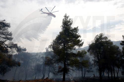 epa10839746 A firefighting helicopter drops water over a wildfire in Stamata, near Athens, Greece, 04 September 2023.  EPA/Yannis Kolesidis