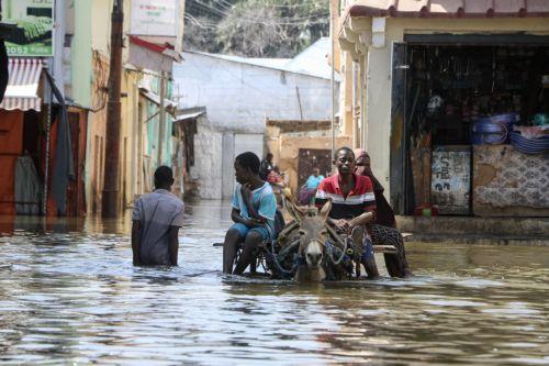epa10985855 Residents ride on a donkey cart amidst the floodwater at a submerged street in Beledweyne, Hiran region, central Somalia, 20 November 2023. Floodwaters from the Shabelle River have reached Beledweyne, forcing families to seek refuge on higher ground. Regional officials said at least twelve people were killed by floods in Beledweyne following...