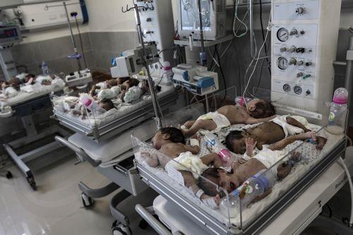 epa10986073 Premature babies evacuated from Gazaâ€™s Al-Shifa hospital, at the Emirates Crescent Hospital in Rafah, southern Gaza, 20 November 2023. According to the Palestinian Red Crescent, 28 premature infants were transferred on 20 November from the Emirati Hospital to the Rafah Crossing, in coordination with the World Health Organization and the United...