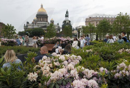 epa11400300 People enjoy the lime transformer garden in a planter, which has been placed for the second year at the parking lot of deputies of the legislative Assembly in front of the Mariinsky Palace on St. Isaac's Square in St. Petersburg, Russia, 09 June 2024.  EPA/ANATOLY MALTSEV