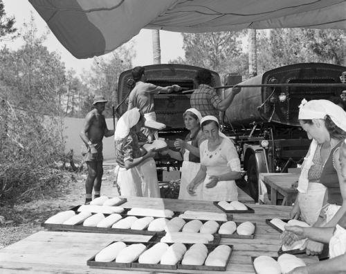 ΦΩΤΟΓΡΑΦΙΑ ΑΡΧΕΙΟ ΓΤΠ/ Αύγουστος του 1974. Το δάσος της Άχνας μετατρέπεται σε καταφύγιο χιλιάδων προσφύγων. Από χωριά της Μεσαορίας, της Αμμοχώστου και της Κερύνειας. Σκηνές ανθρώπινου πόνου και δυστυχίας που συγκλονίζουν. Παιδιά κοιμούνται στο χώμα, μάνες που κλαίνε σκοτωμένα ή αγνοούμενα παιδιά. Άνθρωποι που δεν έχουν τα βασικά φαγητό και ρούχα.Φέτος...