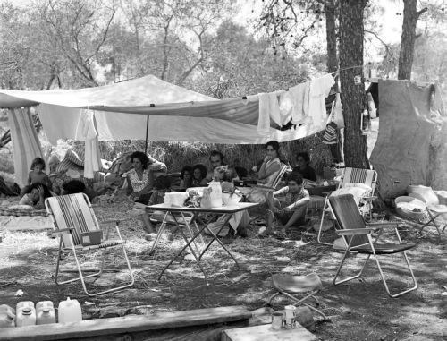 ΦΩΤΟΓΡΑΦΙΑ ΑΡΧΕΙΟ ΓΤΠ/ Αύγουστος του 1974. Το δάσος της Άχνας μετατρέπεται σε καταφύγιο χιλιάδων προσφύγων. Από χωριά της Μεσαορίας, της Αμμοχώστου και της Κερύνειας. Σκηνές ανθρώπινου πόνου και δυστυχίας που συγκλονίζουν. Παιδιά κοιμούνται στο χώμα, μάνες που κλαίνε σκοτωμένα ή αγνοούμενα παιδιά. Άνθρωποι που δεν έχουν τα βασικά φαγητό και ρούχα.Φέτος...
