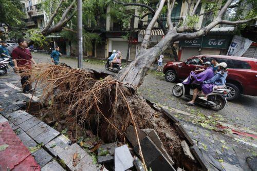 epaselect epa11592671 People ride on a motorbike next to a tree that was blown over by typhoon Yagi in Hanoi, Vietnam, 08 September 2024. Typhoon Yagi, Asia's most powerful storm so far this year, made landfall in northern Vietnam on 07 September, killing four people and injuring 78 others, according to state media.  EPA/LUONG THAI LINH