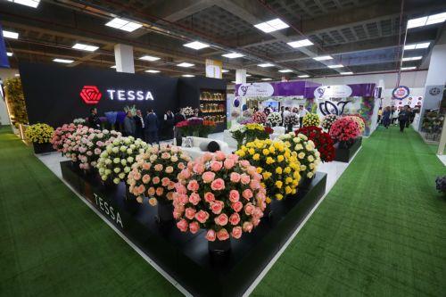 epa11650034 People attend the inauguration of the Expo Flor 2024, in Quito, Ecuador, 08 October 2024. Ecuador's flower industry, the world's third largest exporter of flowers, set the ambitious goal of doubling its exports by 2035, to reach 2 billion US dollar, compared to around 1 billion US dollar at present.  EPA/JosÃ© JÃ¡come