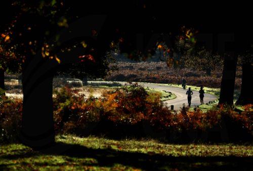 epa11679509 Runners and cyclists in Richmond Park in London, Britain, 24 October 2024. Richmond Park is a National Nature Reserve and home to over 630 red and fallow deer who have been roaming freely since 1637.  EPA/NEIL HALL