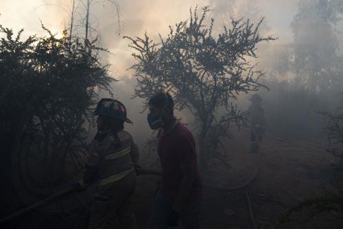 epa11717497 Firefighters work to extinguish a forest fire in Quilpue, Chile, 12 November 2024. Chilean authorities declared a red alert in ViÃ±a de Mar and QuilpuÃ© due to four wildfires that spread during the afternoon in the ValparaÃ­so region, the same area affected by the massive disaster last February.  EPA/ADRIANA THOMASA
