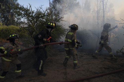 epa11717498 Firefighters work to extinguish a forest fire in Quilpue, Chile, 12 November 2024. Chilean authorities declared a red alert in ViÃ±a de Mar and QuilpuÃ© due to four wildfires that spread during the afternoon in the ValparaÃ­so region, the same area affected by the massive disaster last February.  EPA/ADRIANA THOMASA