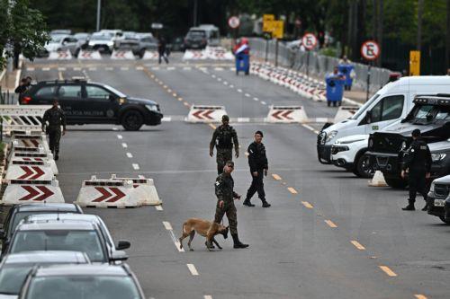 epa11721206 Members of the Military Police use sniffer dogs to search for explosives in the area near Annex IV of the Chamber of Deputies, near the Federal Supreme Court, in Brasilia, Brazil 14 November 2024. According to Brazilian officials, a man killed himself with a bomb outside the Supreme Court on the evening of 13 November after attempting to enter...