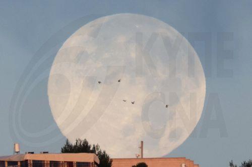 epaselect epa11723865 The Beaver supermoon sets over Jerusalem, 16 November 2024. According to NASA, the full Moon in November 2024, also called the 'Beaver supermoon', is the last of four consecutive supermoons this year.  EPA/ABIR SULTAN