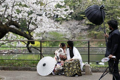 epa12001298 A couple from abroad pose beneath cherry blossoms in full bloom at Chidorigafuchi Moat in Tokyo, Japan, 31 March 2025. According to data released by the Japan National Tourism Organization (JNTO), the number of foreign visitors to Japan in February was 3,258,100, up 16.9 percent from the same month last year, setting a new record for the month...