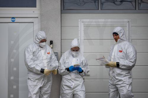 epa12005021 Veterinary staff wait for disinfection after sampling tests from a household breeder, in village where foot-and-mouth disease confirmed, in Plavecky Stvrtok, Slovakia, 02 April 2025. Veterinary staff visit household breeders due to the risk of the spread of foot-and-mouth disease, which has appeared in Slovakia in five farms, and in Hungary. The...
