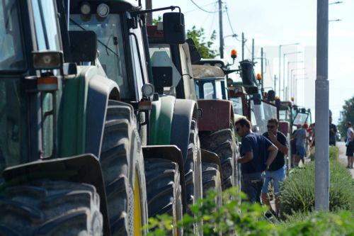 Αγρότες και κτηνοτρόφοι, από την ευρύτερη περιοχή του Πλατυκάμπου, πραγματοποιούν συλλαλητήριο με τρακτέρ, στον οδικό άξονα Λάρισας – Αγιάς, στο Ελευθέριο, Τρίτη 29 Ιουλίου 2025. Συλλαλητήριο με γεωργικά μηχανήματα, πραγματοποιούν σήμερα, αγρότες και κτηνοτρόφοι από την ευρύτερη περιοχή του πρώην δήμου Πλατυκάμπου, με τα εξής αιτήματα: άμεση οικονομική...