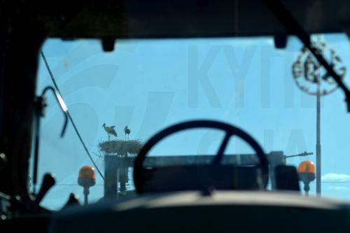 Πελαργοί πάνω στη φωλιά τους διακρίνονται μέσα από τζάμι αγροτικού οχήματος, κατά τη διάρκεια του συλλαλητηρίου αγροτών και κτηνοτρόφων, στον οδικό άξονα Λάρισας – Αγιάς, στο Ελευθέριο, Τρίτη 29 Ιουλίου 2025. Συλλαλητήριο με γεωργικά μηχανήματα, πραγματοποιούν σήμερα, αγρότες και κτηνοτρόφοι από την ευρύτερη περιοχή του πρώην δήμου Πλατυκάμπου, με τα εξής...