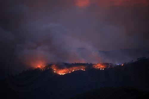 epa12271465 General view during a fire in Arouca, Portugal, 29 July 2025. The fire that has been raging for more than 24 hours in Arouca, in the district of Aveiro, has three active fronts and has already reached the parish of Santa Eulalia, the local authority said.  EPA/ESTELA SILVA