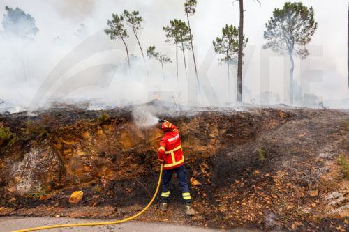 epa12273289 A firefighter tries to extinguish a forest fire in Melres, Portugal, 30 July 2025. The villages of Montezelo and Altocentro, in Melres, in the municipality of Gondomar, are threatened by flames from the fire that started on 29 July in Penafiel.  EPA/DIOGO BAPTISTA