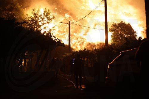 epa12274262 Flames and smoke rise from a burning forest fire at the village of A Caniza near Pontevedra, Galicia, northwest Spain, 31 July 2025. The fire has burnt 200 hectares until now, prompting the authorities to raise a level 2 fire alarm.  EPA/SXENICK