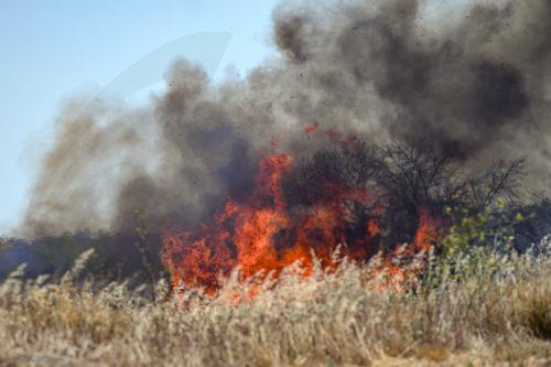 epa12288173 A brush fire burns in Saint-Laurent-de-la-Cabrerisse, Aude department, as a wildfire continues to spread in southern France, 07 August 2025. Some 16,000 hectares have been burned so far and at least one person died in one of the biggest wildfires in France since 1949.  EPA/PHILIPPE MAGONI