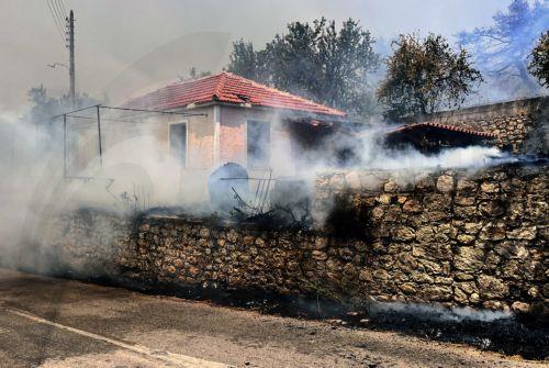 Σπίτι καίγεται κατά τη διάρκεια φωτιάς που ξέσπασε στην κοινότητα Αγαλά στη Ζάκυνθο, Τρίτη 12 Αυγούστου 2025. Στη Ζάκυνθο οι πολύ ισχυροί άνεμοι αλλά και η αλλαγή της κατεύθυνσής τους έχουν οδηγήσει την πυρκαγιά στις αυλές των πρώτων σπιτιών στον Αγαλά. Επιχειρούν ισχυρές πυροσβεστικές δυνάμεις που προσπαθούν να ελέγξουν τη φωτιά.  ΑΠΕ-ΜΠΕ/ΑΠΕ-ΜΠΕ/ΚΩΣΤΑΣ...