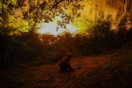 epa12319173 Firefighters battle a forest fire in Pedrogao Grande, Leiria, Portugal, 23 August 2025. The two fires that are currently consuming forest in Pedrogao Grande have already reached the municipality of Serta, with various resources being deployed in both areas to combat the fire, the Civil Protection said.  EPA/PAULO NOVAIS  EPA/PAULO NOVAIS