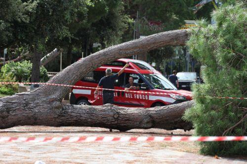 epa12319481 Rescue workers arrive at the scene of a fallen tree in Cervia, Italy 24 August 2025. Local media reported several trees fell over cars after rains and winds struck the Romagna coast on 24 August.  EPA/Fabrizio Zani