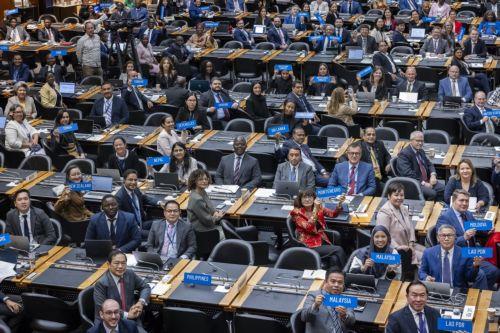 epa12379587 Delegates from signatory countries show the name of their country during the ceremony to mark the entry into force of the WTO Agreement on Fisheries Subsidies, at the World Trade Organization (WTO) headquarters in Geneva, Switzerland, 15 September 2025.  EPA/MAGALI GIRARDIN