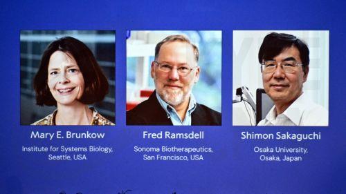 epa12434524 The recipients of the 2025 Nobel Prize in Physiology or Medicine, (L-R) Mary E. Brunkow, Fred Ramsdell and Shimon Sakaguchi, for their discoveries concerning peripheral immune tolerance are announced by the Nobel Assembly at the Karolinska Institute, in Solna, Stockholm County, Sweden, 06 October 2025.  EPA/CLAUDIO BRESCIANI/TT  SWEDEN OUT