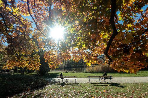 epa12467427 People enjoy the weather as they sit under autumn leaves at a park in Warsaw, Poland, 20 October 2025  EPA/Szymon Pulcyn POLAND OUT