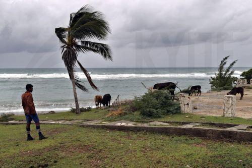 epaselect epa12488042 A man watches his cows by the sea on the road through the village of Chivirico in Santiago de Cuba, Cuba, 28 October 2025. Hurricane Melissa is expected to reach southeastern Cuba on 29 October.  EPA/ERNESTO MASTRASCUSA