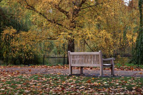 epa12502424 A park bench amidst autumn leaves in St. James's Park, London, Britain, 04 November 2025.  EPA/ANDY RAIN