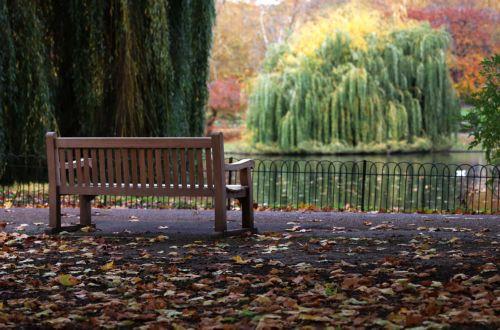 epa12502427 A park bench amidst autumn leaves in St. James's Park, London, Britain, 04 November 2025.  EPA/ANDY RAIN