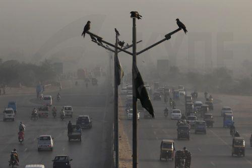 epa12511704 Birds sit on a light pole as vehicles drive on a highway amid heavy smog in Karachi, the provincial capital of Sindh province, Pakistan, 08 November 2025. Karachi in Sindh Province and Lahore in Punjab Province once again topped the list of the world's most polluted cities, as thick smog engulfed the city with the Air Quality Index (AQI) peaking...