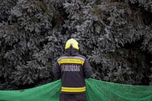 epa12545696 A fireman unwraps a pine to be erected as the Christmas tree of the country in Kossuth Square at the parliament building in Budapest, Hungary, 24 November 2025. The 23-meter-tall and 40-year-old blue spruce was picked from a selection of 31 pines and transported from the northeastern county of Szabolcs-Szatmar-Bereg.  EPA/Zoltan Balogh HUNGARY...