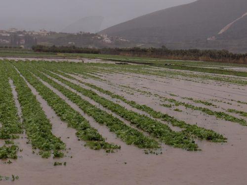 Προβλήματα δημιούργησε η κακοκαιρία ''Byron'' στην ευρύτερη περιοχή του Ναυπλίου , Πέμπτη 4 Δεκεμβρίου 2025. Από την βροχόπτωση πλημμύρισαν πολλά χωράφια στην περιοχή Κάντιας και Ιρίων λόγω των χειμάρρων στην περιοχή . Κλειστά θα είναι και τα σχολεία αύριο σε Ναύπλιο Άργος και Ερμιονίδα . ΑΠΕ-ΜΠΕ /ΑΠΕ-ΜΠΕ/ΜΠΟΥΓΙΩΤΗΣ ΕΥΑΓΓΕΛΟΣ