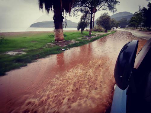 Προβλήματα δημιούργησε η κακοκαιρία ''Byron'' στην ευρύτερη περιοχή του Ναυπλίου , Πέμπτη 4 Δεκεμβρίου 2025. Από την βροχόπτωση πλημμύρισαν πολλά χωράφια στην περιοχή Κάντιας και Ιρίων λόγω των χειμάρρων στην περιοχή . Κλειστά θα είναι και τα σχολεία αύριο σε Ναύπλιο Άργος και Ερμιονίδα . ΑΠΕ-ΜΠΕ /ΑΠΕ-ΜΠΕ/ΜΠΟΥΓΙΩΤΗΣ ΕΥΑΓΓΕΛΟΣ