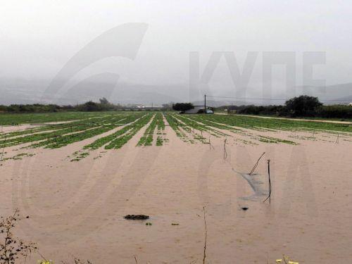 Προβλήματα δημιούργησε η κακοκαιρία ''Byron'' στην ευρύτερη περιοχή του Ναυπλίου , Πέμπτη 4 Δεκεμβρίου 2025. Από την βροχόπτωση πλημμύρισαν πολλά χωράφια στην περιοχή Κάντιας και Ιρίων λόγω των χειμάρρων στην περιοχή . Κλειστά θα είναι και τα σχολεία αύριο σε Ναύπλιο Άργος και Ερμιονίδα . ΑΠΕ-ΜΠΕ /ΑΠΕ-ΜΠΕ/ΜΠΟΥΓΙΩΤΗΣ ΕΥΑΓΓΕΛΟΣ