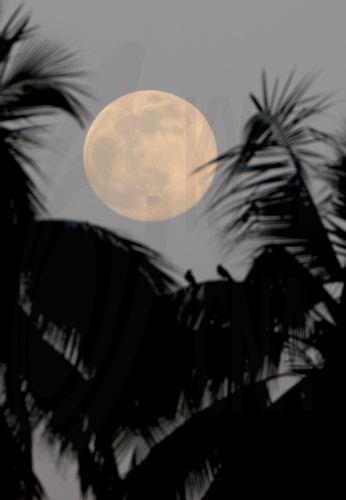 epaselect epa12569569 The supermoon shines over the sky in Yangon, Myanmar, 04 December 2025. This is the last Supermoon of 2025, known as the Cold Moon.  EPA/NYEIN CHAN NAING