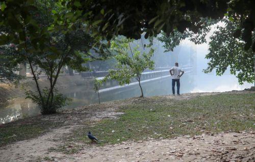 epa12576208 A man looks into the distance during the early winter morning at Ramna Park in Dhaka, Bangladesh, 07 December 2025. Ramna Park is a large recreation area situated at the heart of the central Dhaka.  EPA/MONIRUL ALAM
