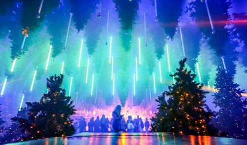 epa12585121 People visit the art installation 'Forest - Winterlights' by light and media artist Christopher Bauder at his Dark Matter art gallery in Berlin, Germany, 11 December 2025. Berlin-based light and media artist Bauder has created a poetic forest landscape covering 1,000 square metres, featuring over 600 trees, most of which float from the ceiling,...