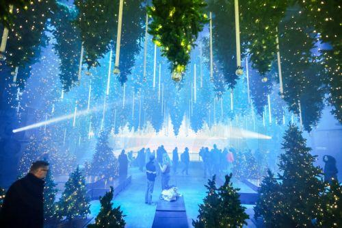 epa12585124 People visit the art installation 'Forest - Winterlights' by light and media artist Christopher Bauder at his Dark Matter art gallery in Berlin, Germany, 11 December 2025. Berlin-based light and media artist Bauder has created a poetic forest landscape covering 1,000 square metres, featuring over 600 trees, most of which float from the ceiling,...