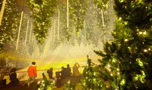 epa12585127 People visit the art installation 'Forest - Winterlights' by light and media artist Christopher Bauder at his Dark Matter art gallery in Berlin, Germany, 11 December 2025. Berlin-based light and media artist Bauder has created a poetic forest landscape covering 1,000 square metres, featuring over 600 trees, most of which float from the ceiling,...