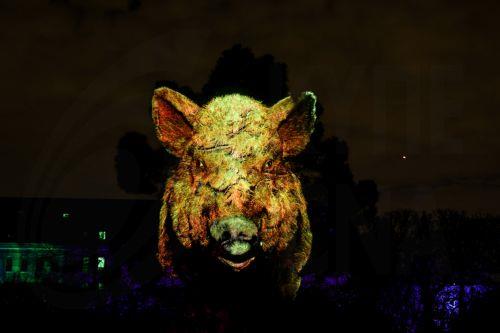 epa12609231 An image of a wild boar is projected on a tree during the 'Illuminating: Nature's lights' winter light festival at Jardin des Plantes in Paris, France, 22 December 2025. The 2025 edition, which runs from 12 November through 18 January 2026, showcases the lights emitted by nature on land, in water, or in the air, whether plant, animal, or...