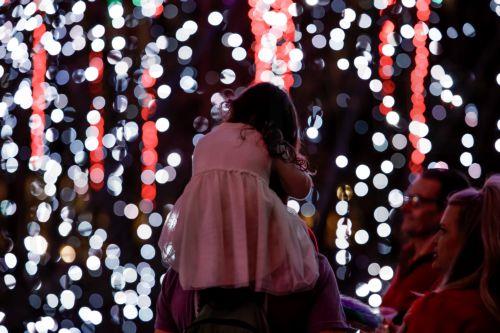 epa12612698 People visit the audiovisual light installation 'Nature's Wonder' at the Atlanta Botanical Garden's 'Garden Lights, Holiday Nights' display in Atlanta, Georgia, USA, 25 December 2025  (Issued 26 December 2025). The popular holiday light display, in its 15th year, runs through 11 January 2026.  EPA/ERIK S. LESSER