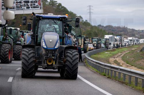 epa12616718 Tractors drive on the C-25 motorway as it passes through Cervera, Lleida, Spain, 29 December 2025. Agricultural union Unio de Pagesos (UP) organized a protest with tractors to block the connection between Lleida and Girona in protest against the 'mismanagement of game animals' and to demand better prevention of livestock diseases such as the...