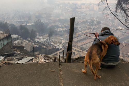 epa12660284 A person and his dog observe houses damaged by wildfires in Penco, Chile, 18 January 2026. Chilean President Gabriel Boric announced on 18 January 2026 that the death toll from the wildfires in the southern regions of Nuble and Biobio had risen to 18.  EPA/PABLO HIDALGO