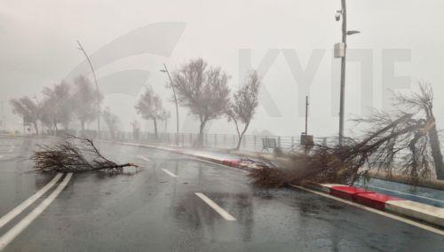 epa12663981 A view shows areas affected by bad weather on the seafront in Catania, Sicily, Italy, 20 January 2026.  EPA/ORIETTA SCARDINO