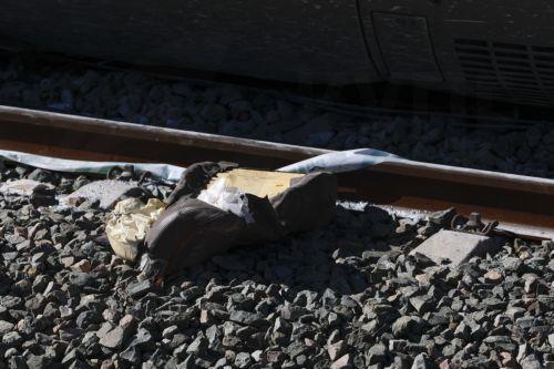 epa12664137 A piece of one of the seats of the damaged wagon of one of the trains involved in the crash between two high-speed train sets that occurred on 18 January 2026, in Adamuz, Cordoba, Spain, on 20 January 2026. At least 41 people were killed after a high-speed train carrying more than 300 passengers derailed and struck an oncoming train on the...