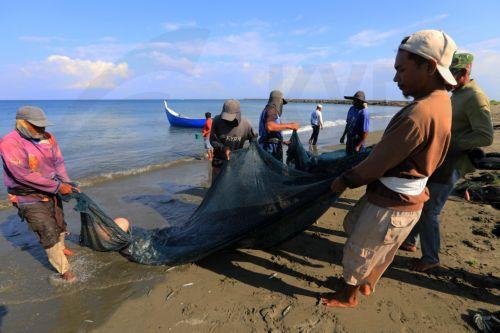 epa12699546 Fishermen pull their net as they use a traditional fishing method in Kampung Jawa, Banda Aceh, Indonesia, 02 January 2026. Indonesia is promoting blue economy programs to protect the ocean.  EPA/HOTLI SIMANJUNTAK