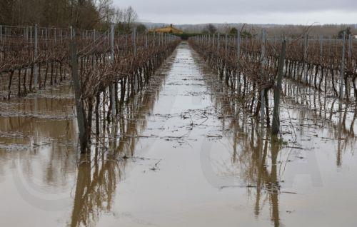 epa12719895 View of flooded field after Duero river overflowed in Zamora, northwestern Spain, 09 February 2026. Heavy rainfall and storms caused floods in parts of Spain.  EPA/MARIAM A. MONTESINOS