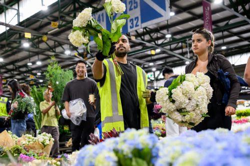 epa12732872 People purchase flowers ahead of Valentine's Day at the Sydney Flower Markets in Sydney, Australia, 13 February 2026.  EPA/BIANCA DE MARCHI AUSTRALIA AND NEW ZEALAND OUT